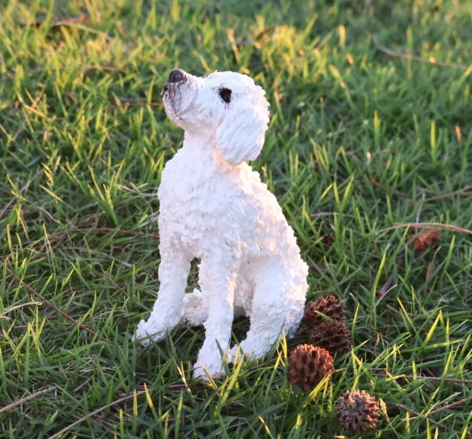 Cooper