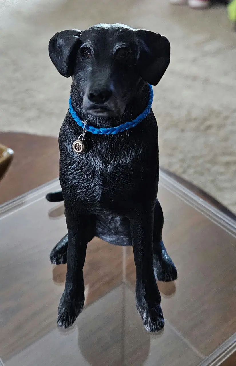Harley
