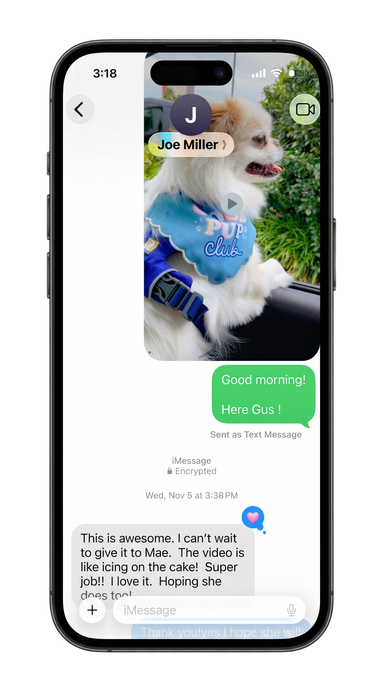 Customer feedback for Gus