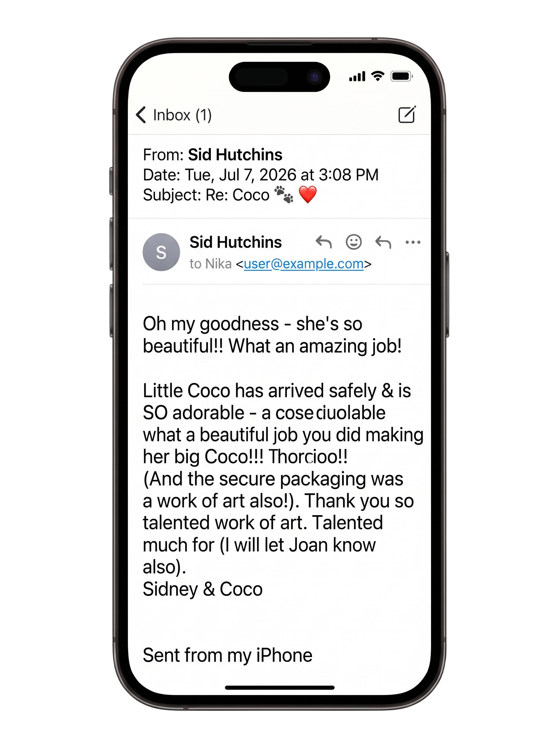Customer feedback for Coco