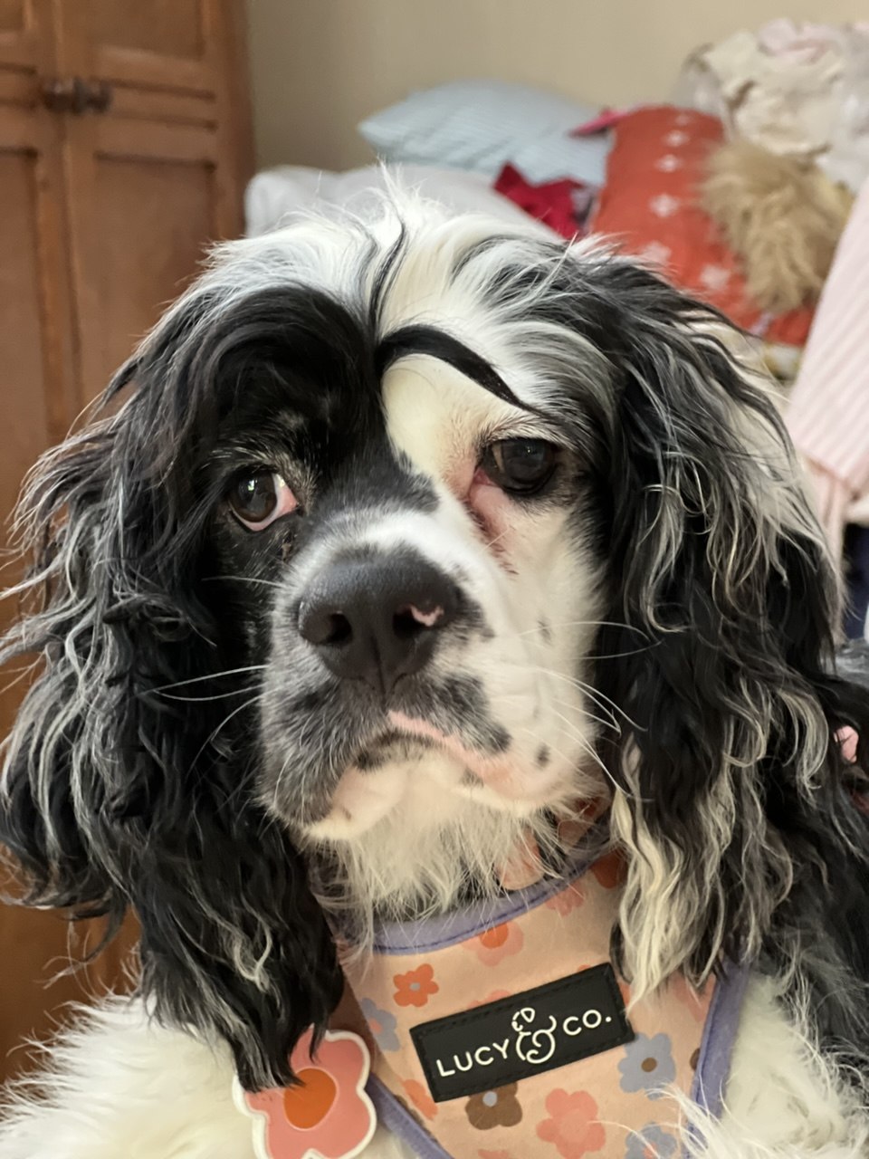 Custom clay sculpture of Pepper